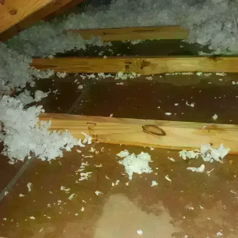 Attic Water Damage in Graymoor-Devondale, KY